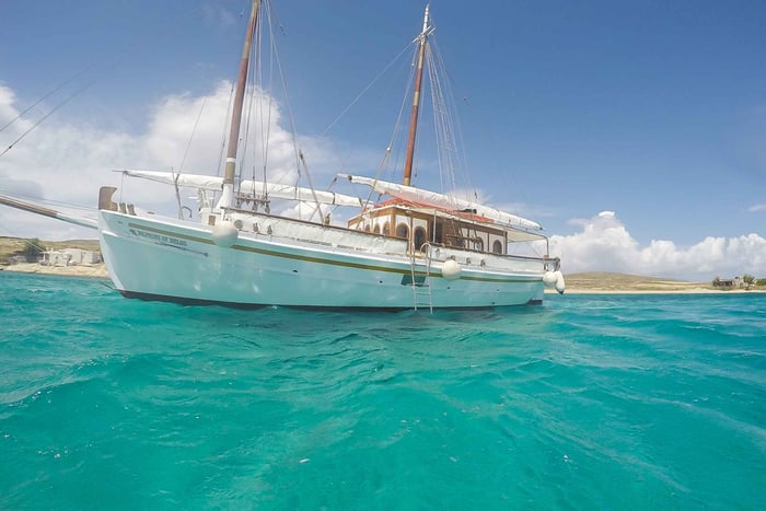 Isole di Delo e Rhenia: crociera in barca da Mykonos