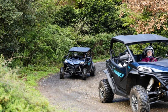 From Rethymno: Half-Day Off-Road Buggy Safari