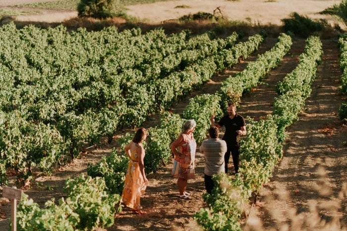 Isla de Milos: Cata de vinos en la Bodega Kostantakis