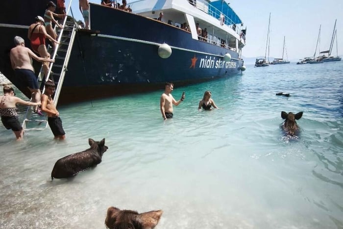 Nidri: paseo en barco VIP con todo incluido, cerditos y baño con cerditos