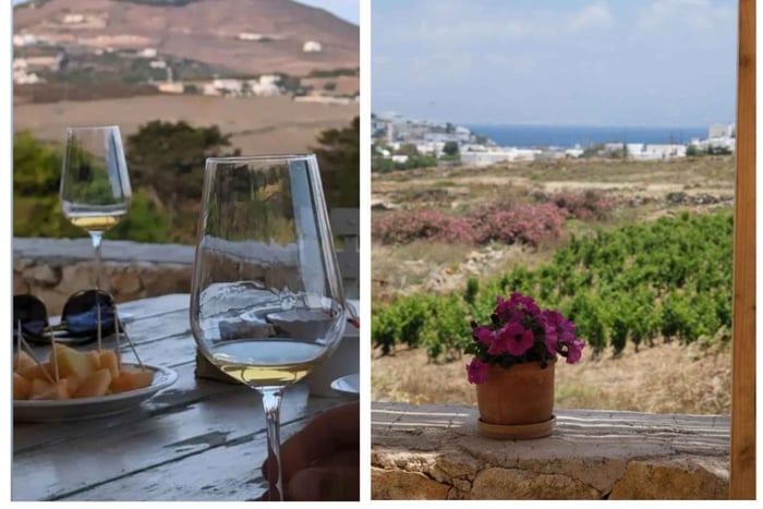 Paros: Wine tasting at Local Winery
