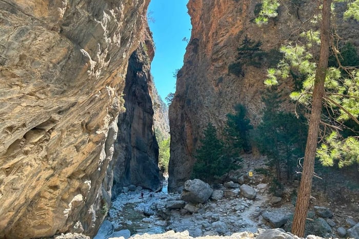 Platanias: wandeltocht naar de Samaria-kloof met Poolse gids