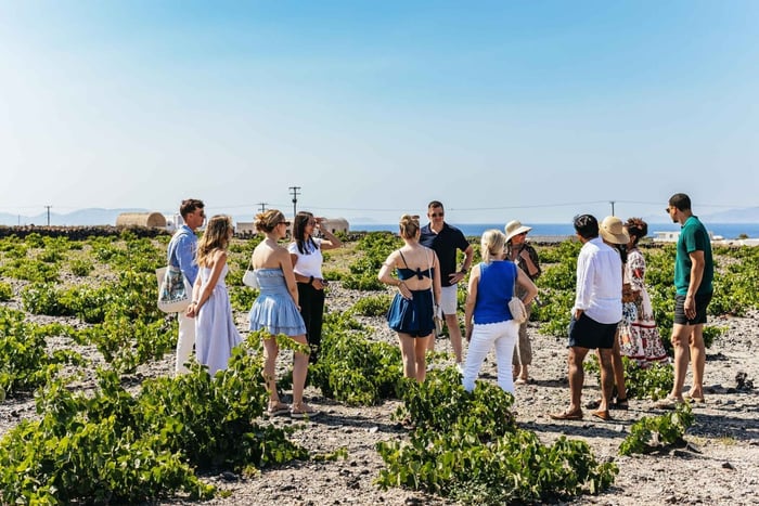 Santorini: tour de vino al atardecer para grupos pequeños con bodega Santo