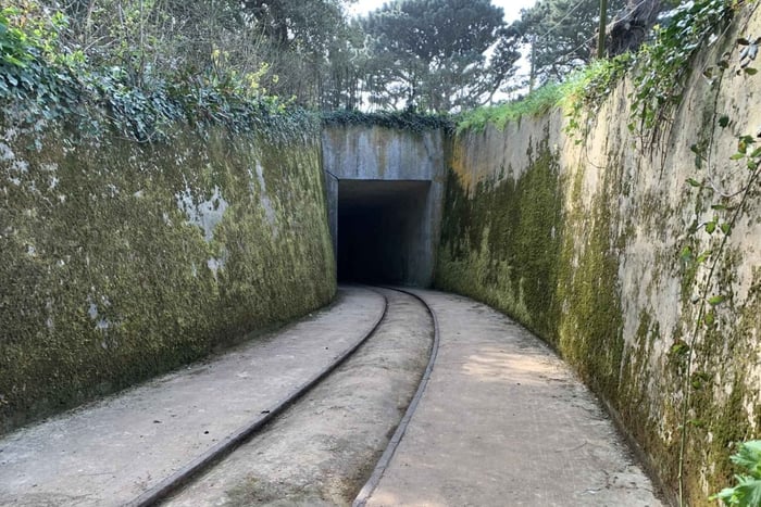 Batterie Mirus Gun Emplacement Guided Tour