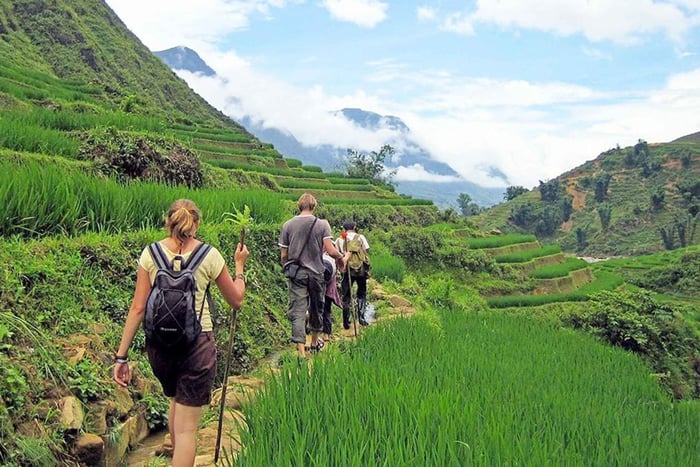 2-Day Sa Pa Ethnic Homestay Tour & Trek with Limousine Bus