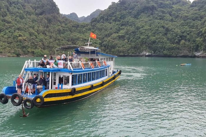 Cat Ba: Lan Ha, baia di HaLong: giornata intera - bicicletta, kayak, pranzo