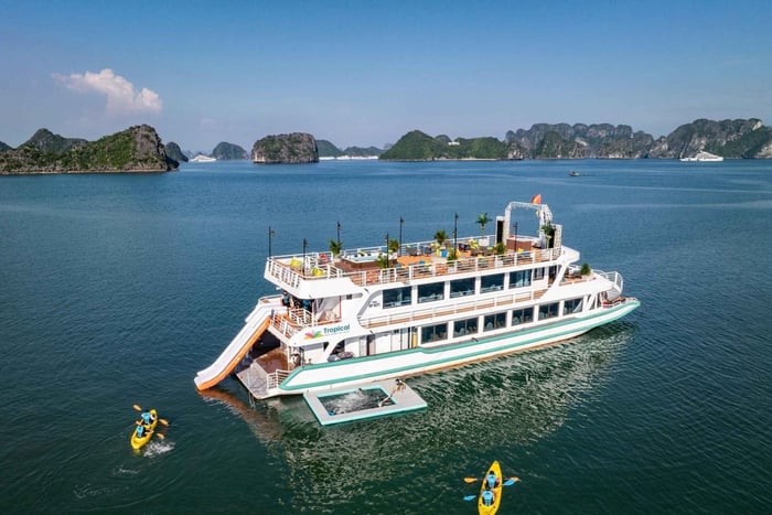 Hanoi: Ha Long Bay til Lan Ha Bay – dagsomvisning på Cat Ba-øya