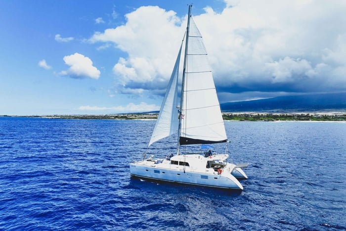 Big Island: Luxury Catamaran Trip along the Kona Coast