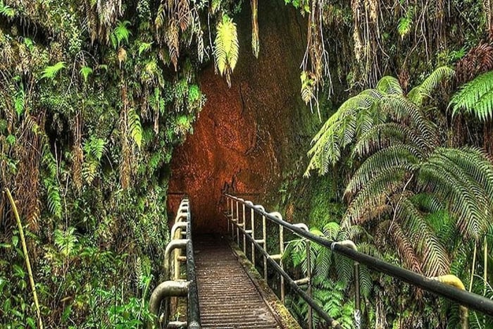 Von der Big Island: Hawaii Volcanoes National Park Tour