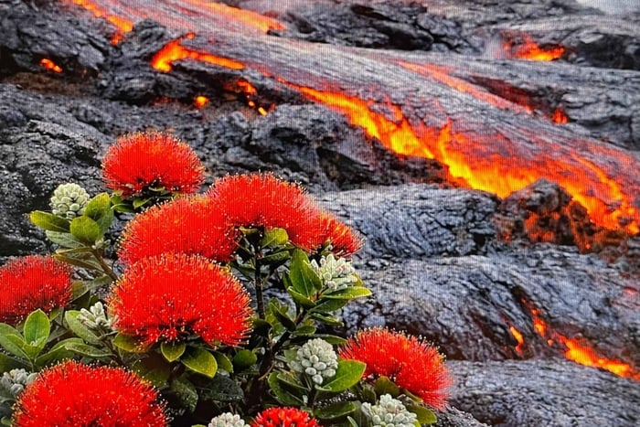 Hilo, Hawaii – Vulkan, Wasserfälle und Strandtour mit Mittagessen