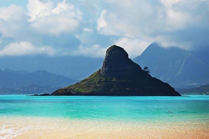 Honolulu: Oahu Island Highlights Tour med flere stopp