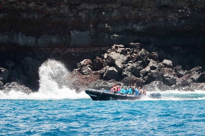 Kealakekua Bay: Snorklaus ja rannikkoseikkailu lounaalla.