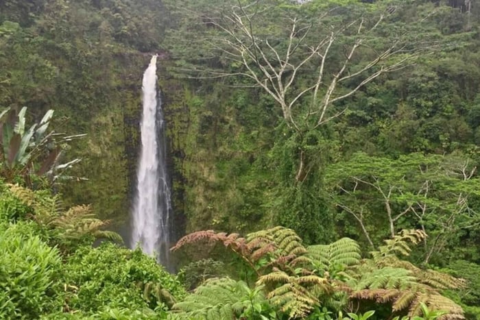 Kona: Aventura en el Gran Volcán de la Gran Isla