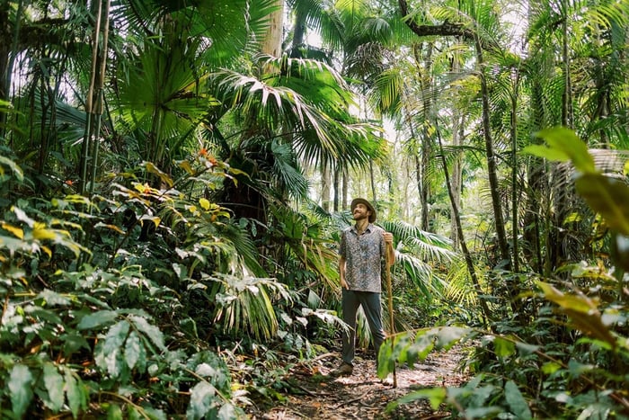 Kona Cloud Forest Sanctuary Montane Jungle Tour (2.5 hrs)