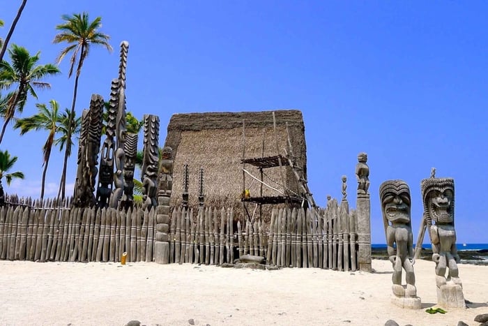 Kona: Guidet tur til kaffefarm, City of Refuge og Painted Church