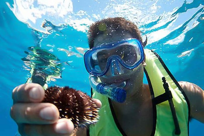 Oahu: tour di snorkeling all'Hilton Hawaiian Village