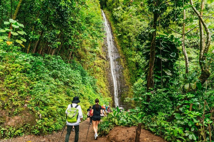 Oahu: Manoa Falls waterval wandeling met lunch en transfers