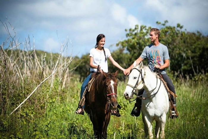 Oahu: Privat ridetur med piknik i solnedgangen for to