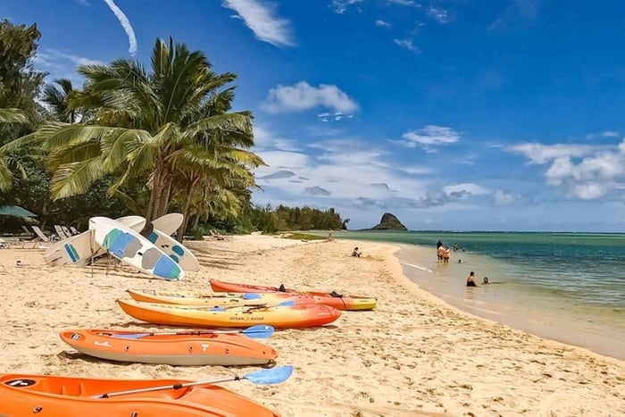 Oahu: Secret Beach Circle Island Adventure