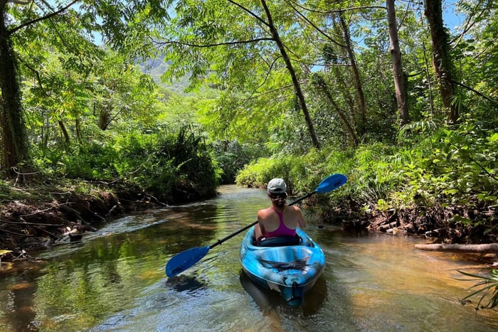 Oahu: Aluguel de caiaque simples e duplo por 3 horas no rio