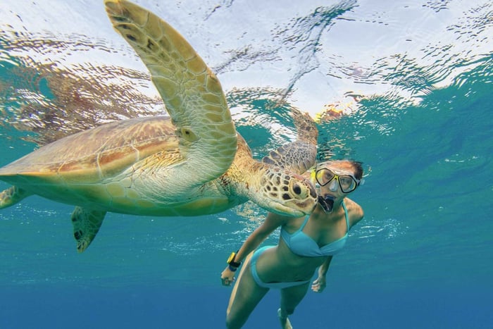 Oahu : plongée en apnée avec les tortues, scooter des mers, planche à pagaie