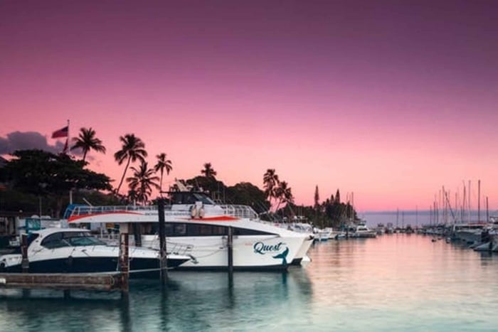 Sud de Maui : Croisière au coucher du soleil avec dîner à 4 plats et boissons