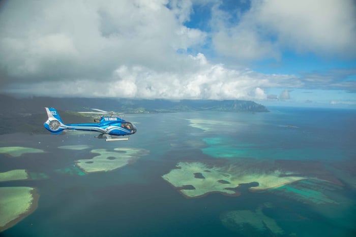 Turtle Bay: Helikoptertur på nordkysten