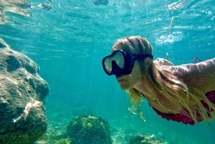 Waikiki Excursión de snorkel para principiantes en Honolulu con vídeos