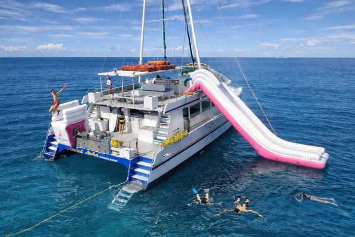 Nurkowanie z rurką w Waikiki i przygoda w oceanicznym parku wodnym