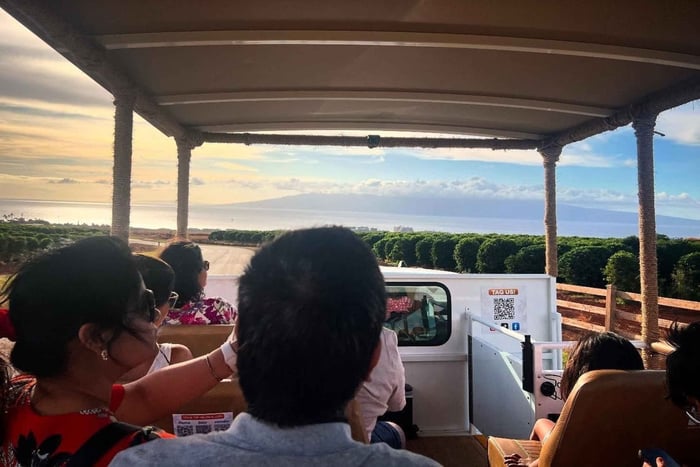 West Maui: Open-Air Highlights Tour from Kāʻanapali