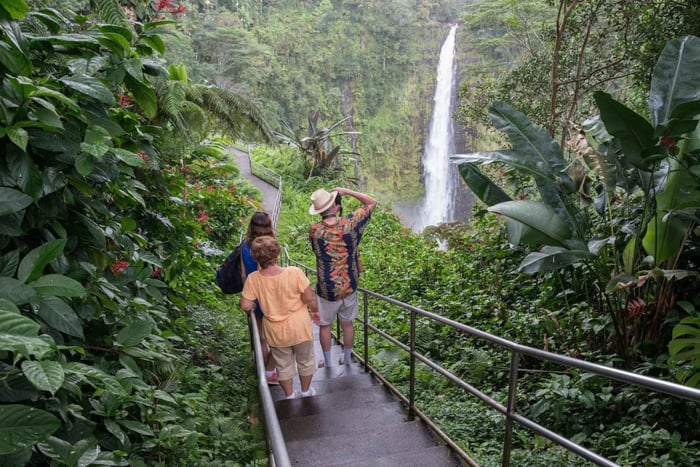 Big Island: Tagestour zu Vulkanen, Wasserfällen und Kaffeeplantagen