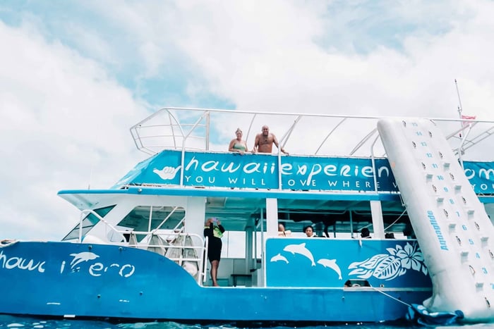 Oahu: Svøm med delfiner, snorkeltur med skilpadder og vannsklie
