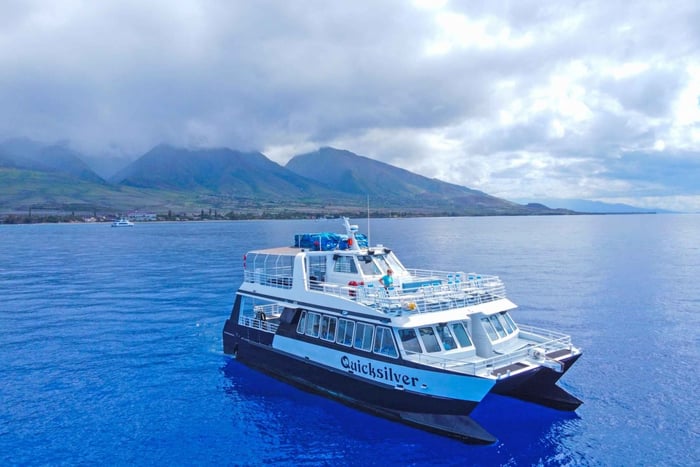 Ma'alaea Harbor: Whale Watching Tour an Bord eines Katamarans