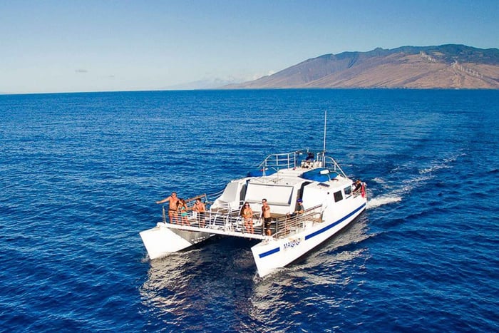 Sør-Maui: Snorkletur i Molokini og Turtle Town med måltid