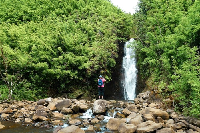 Maui: Guidet fottur i regnskogens fossefall med pikniklunsj