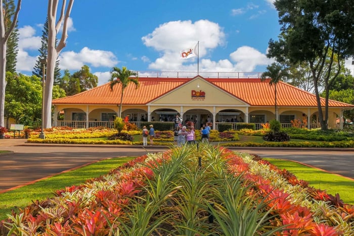 Oahu: Oahu Ultimate Grand Circle Island Tour