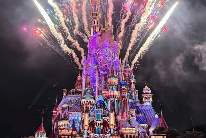 Disneyland Entry Ticket (Early Access) & Transfer