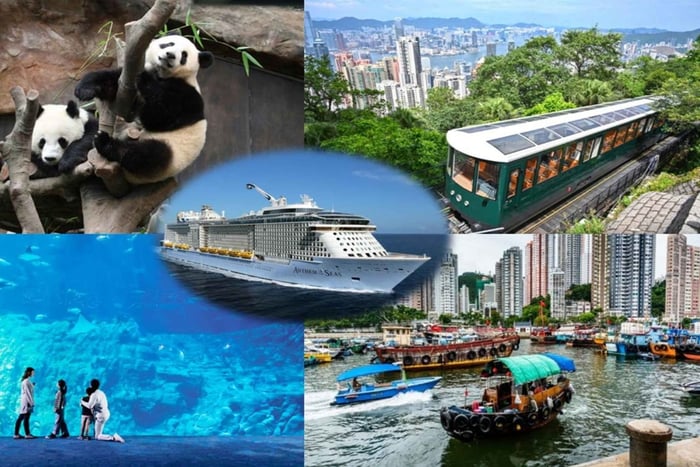 Excursion d'une journée complète à Hong Kong avec déjeuner, visite du Peak et rencontre avec les pandas