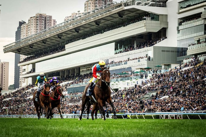 Visite guidée de l'Hippodrome du Jockey Club de Hong Kong avec restauration et boissons
