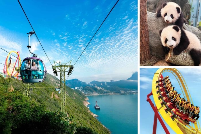 Hong Kong: biglietto d'ingresso all'Ocean Park