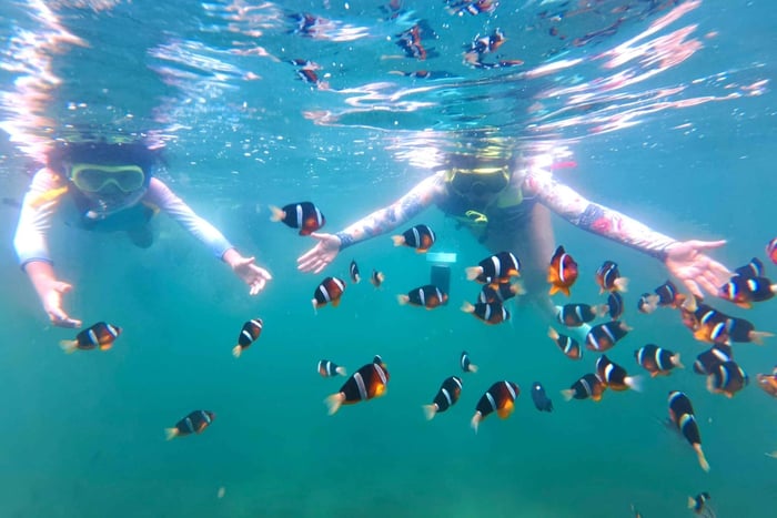 Hongkong Sai Kung NEMO Clownfisch-Schnorcheltour