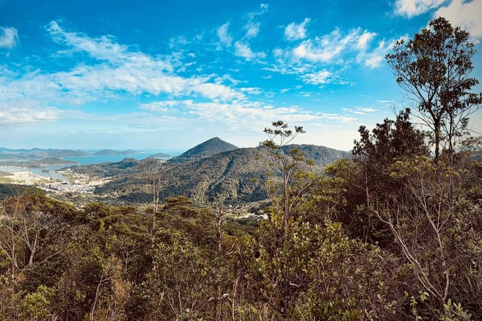 Hong Kong: Tung Shan Skyline Views Guided Hike (2.5 Hours)