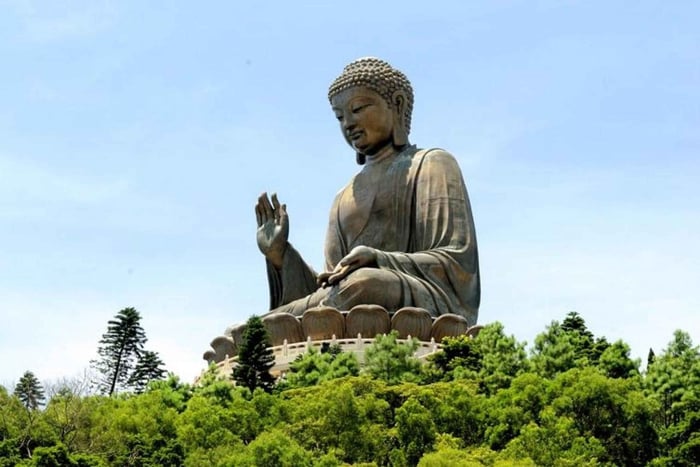 Private VIP Lantau Tour with Top Guide and Hotel Transfer