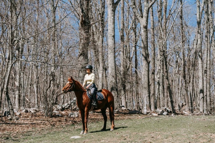 Forest Horseback Riding Along Creek Trails