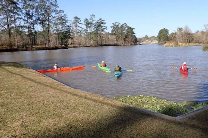 Houston: excursión en kayak por Luce Bayou