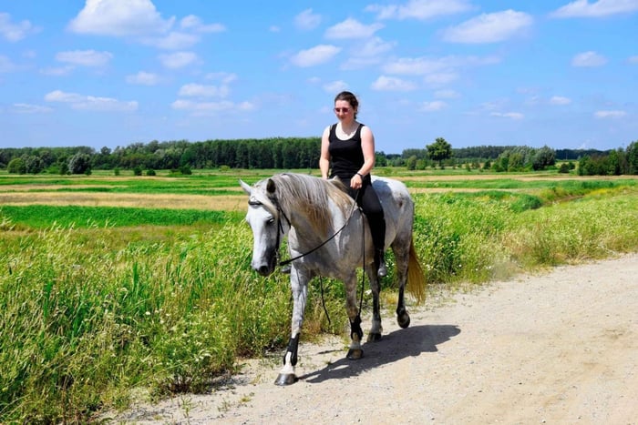 1-stündiger malerischer Reitausflug