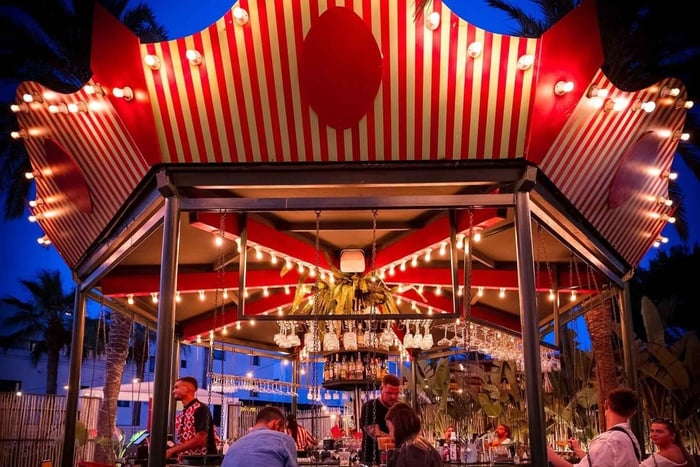 Dinner show «Circus Carousel»