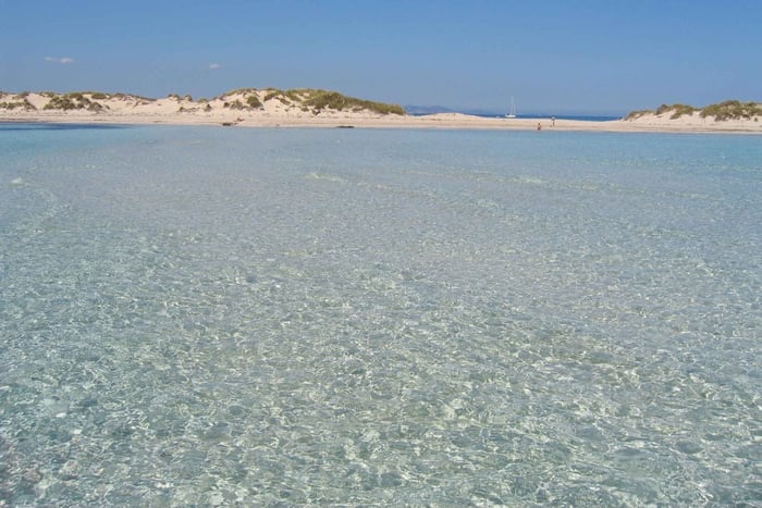 TOUR DE BUCEO EN ESPALMADOR DE 15:30 A 19:30