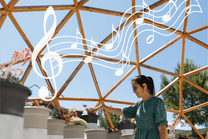 Guided Tour at BiBo Park: Ibiza's Biotech Botanical Garden