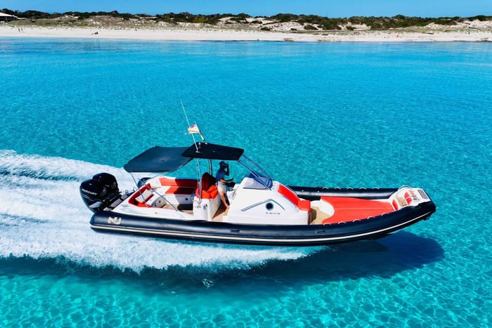 Ibiza och Formentera: 8-timmars tur med privat premiumbåt